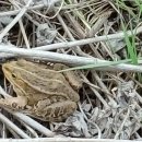 반제농장 이미지