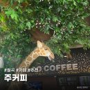 주커피경북왜관점 이미지