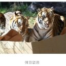 프렌즈동물병원 이미지