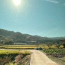 은용농장 이미지