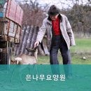 파주시요양원,금촌동요양원 은나무요양원 - 위치 및 가격 정보가 궁금하다면