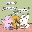 우림미디어 이미지