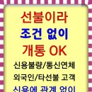 달구벌통신
