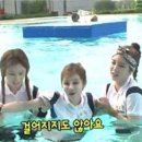 보람수영장 이미지