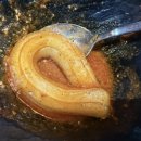 윤반장 곱도리탕 이미지