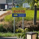보오 | 전현무계획 강원도 속초 여행 돌짜장 맛집 가보오 토종닭 주말 웨이팅 주차 후기