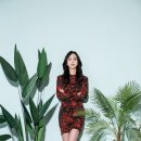 권영찬닷컴