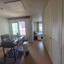 제주종합경기장 애향운동장 이미지