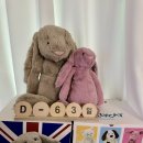 핑크버니 | 젤리캣 베이지버니XL, 블라썸 핑크 L 사이즈 비교 후기