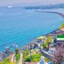 호남 태양광발전소 이미지