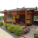 두동편백 이미지