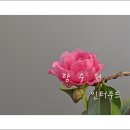 인터루드 이미지