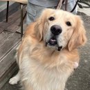 동홍약국 이미지