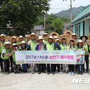 삼태미마을 이미지