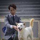 달구벌진도 이미지