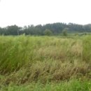 송시마을회관 이미지