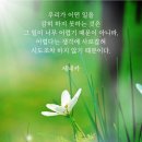 세네카