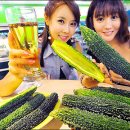 웰빙플러스 이미지