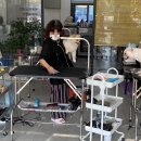 봉순이네 펫살롱 이미지