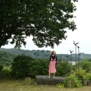 멍라이프 이미지