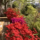 서수김밥 이미지