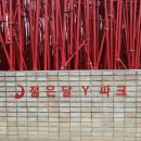 무릉도원면-20 이미지