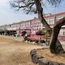 서운초등학교 | 안성 서운 초등학교 블라인드 교체 후기, 교실 콤비 블라인드