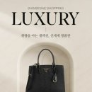 뿐이고라이브 지디넷코리아