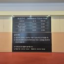 2835 | 제주 홀릭뮤지엄 "인생샷 100장" 포토존 가득한 애월 실내데이트 장소 총정리 방문후기