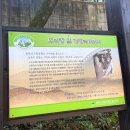 우이령 | 북한산 둘레길 21코스 우이령｜예약 방법부터 코스 후기까지 총정리| 난이도 쉬운 가을 산책로