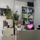 한국모터스 | [서울 중랑] 유로모터스/ 엔진오일 교환 및 꼼꼼한 무상 점검 후기!