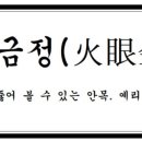 대덕태권도 이미지