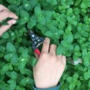 논밭상점 이미지