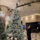 영광자원 | 일산 소노캄 호텔 연말행사 후기｜2025 자원봉사 대축제 참여하고 한 해 정리한 밤