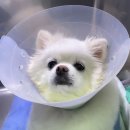 환해지개 이미지