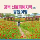 경북카서비스 이미지