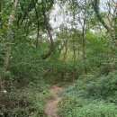 동읍999 | 검정고무신 벽화보고 학봉 무학산(761.4m) 산행