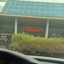 호암어린이공원1 | 서울대 이라운지 웨딩 베뉴 투어 / 호암 교수회관, 연구공원 후기