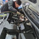 포도모터스 이미지