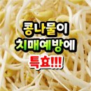 콩나물이 치매 예방의 특효 이미지