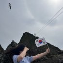 페리독 | [경북/울릉도] 인생 버킷리스트 하나 달성! 저동항에서 독도! 첫 방문에 입도 성공!!!! 내돈내산 방문후기