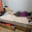 대신방역산업