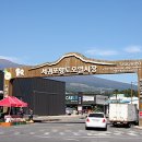 서귀포오일시장-2 이미지