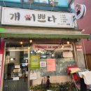 개, 이쁘다 이미지