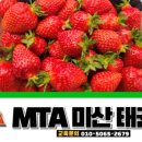 정암태권도장 이미지