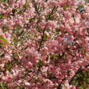 영란여자중학교 이미지