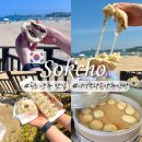 속초 만두 맛집 포장 먹거리 간식 추천 조양동 이정숙왕손만두찐빵