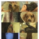 유영철 농장 이미지