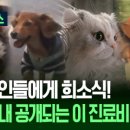 재진축산 이미지