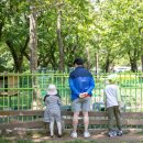 복남 농장 이미지